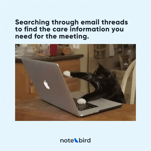 Animated GIF of a house cat typing frantically on a laptop.